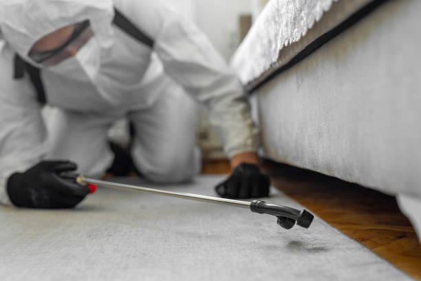 Professional Termite Control technician working in Pineland, TX